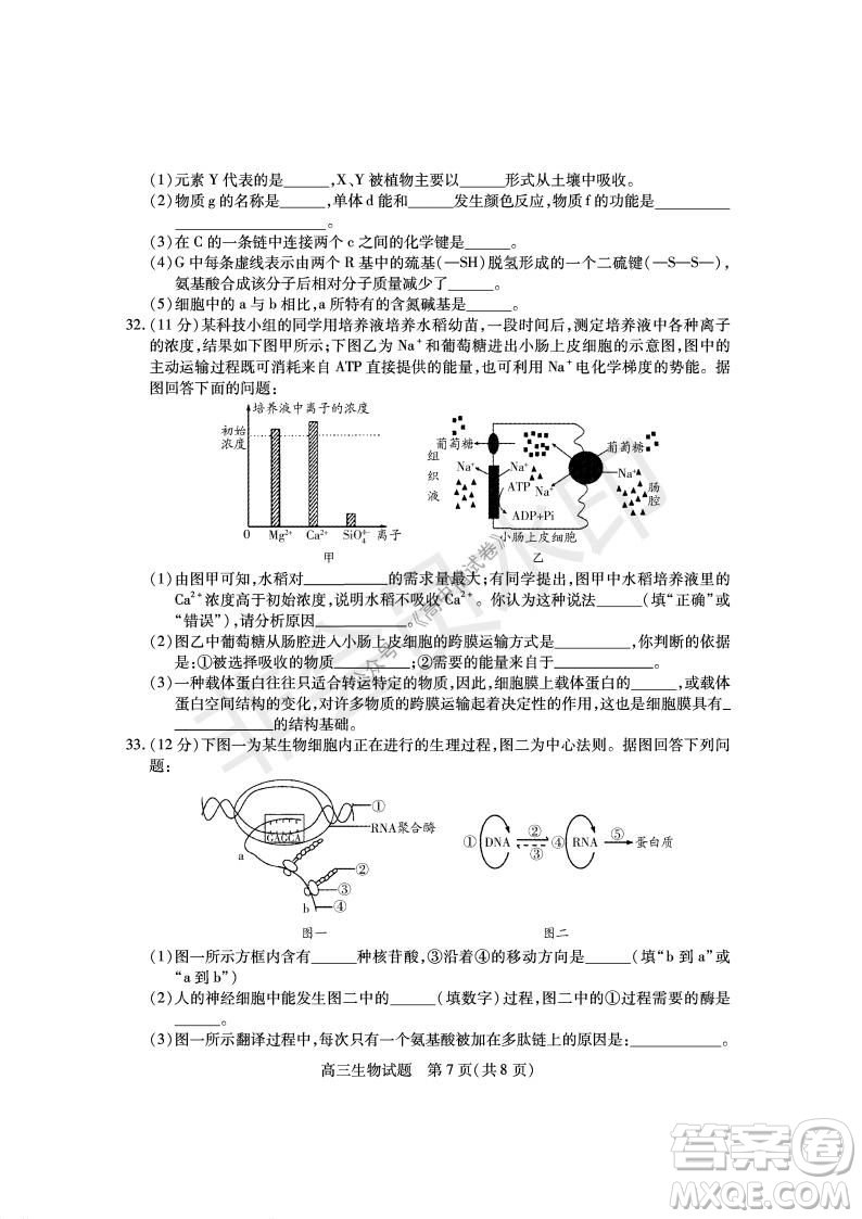 運城市2021高三年級期中調(diào)研測試生物試題試卷及答案