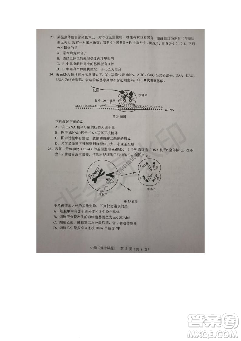 2021年11月溫州市普通高中選考適應(yīng)性測試高三生物試題參考答案