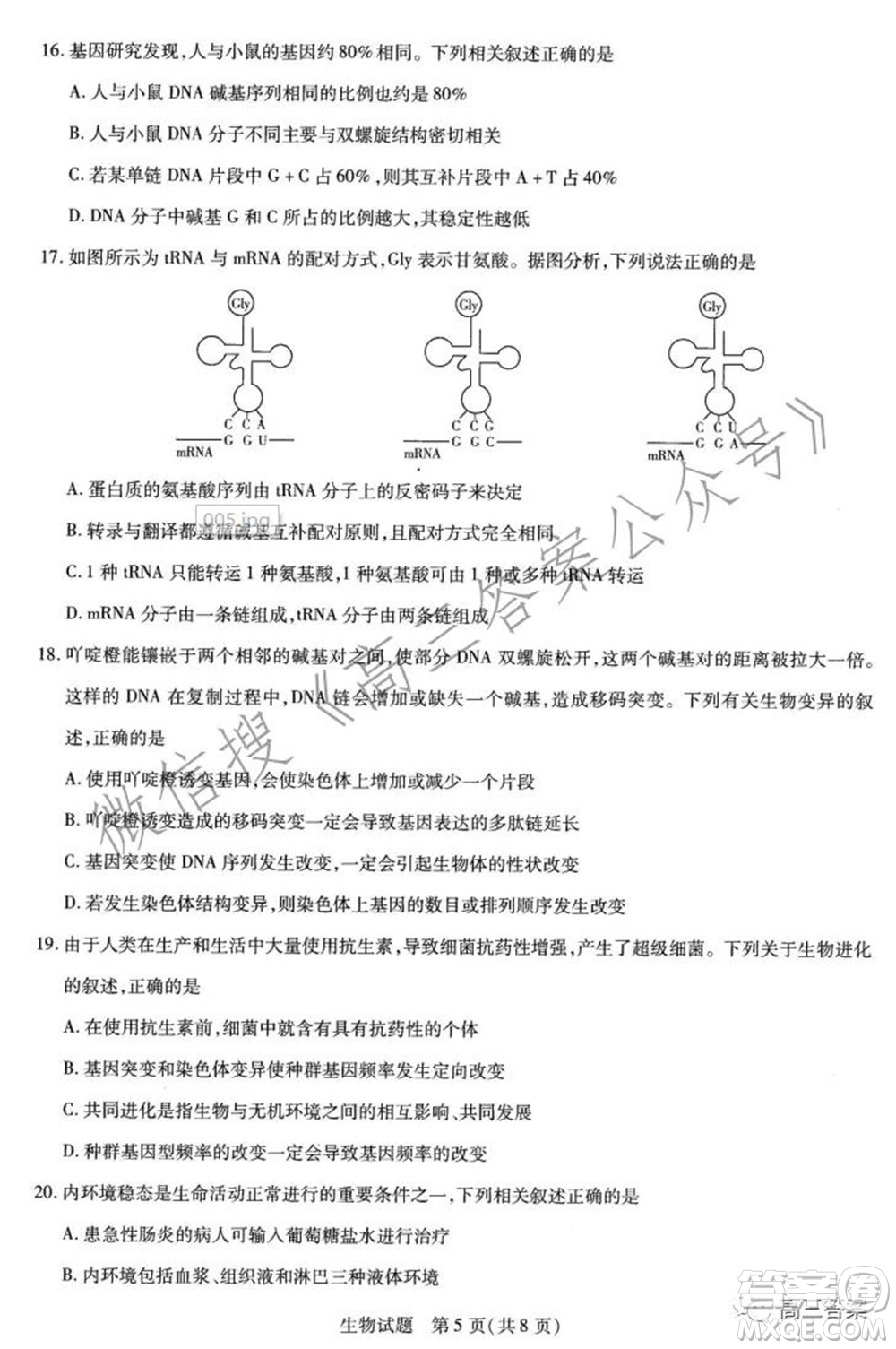 天一大聯(lián)考2021-2022學(xué)年高三年級(jí)上學(xué)期期中考試生物試題及答案