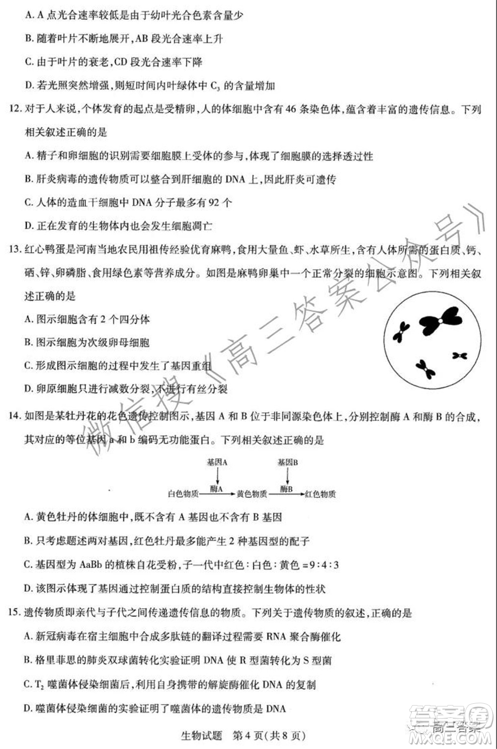 天一大聯(lián)考2021-2022學(xué)年高三年級(jí)上學(xué)期期中考試生物試題及答案