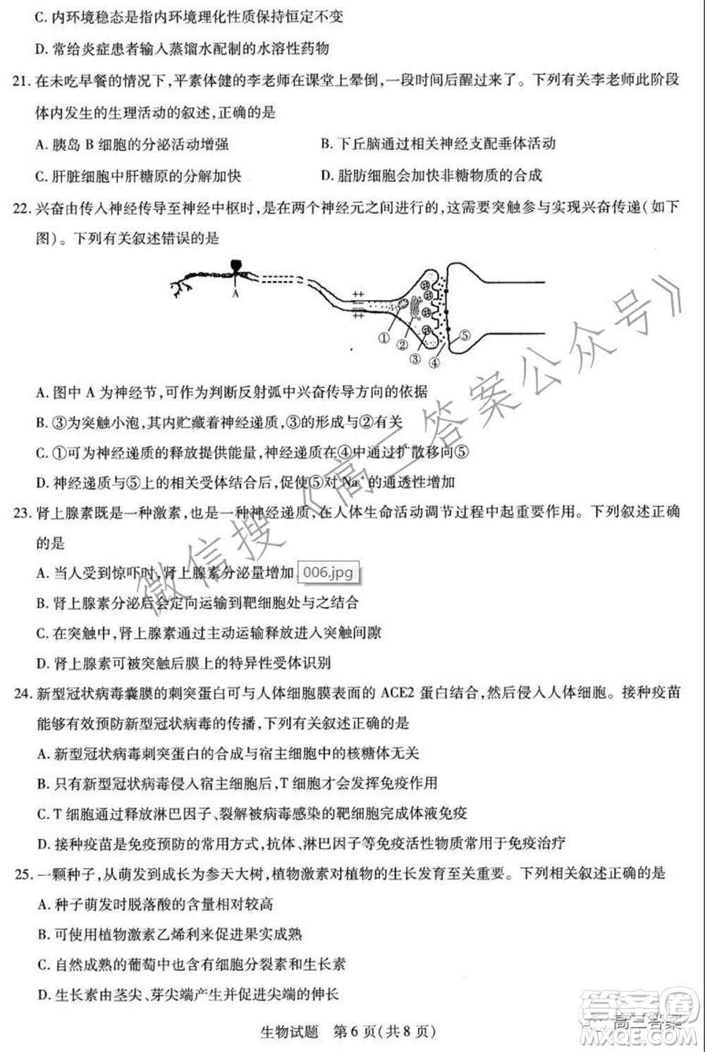 天一大聯(lián)考2021-2022學(xué)年高三年級(jí)上學(xué)期期中考試生物試題及答案