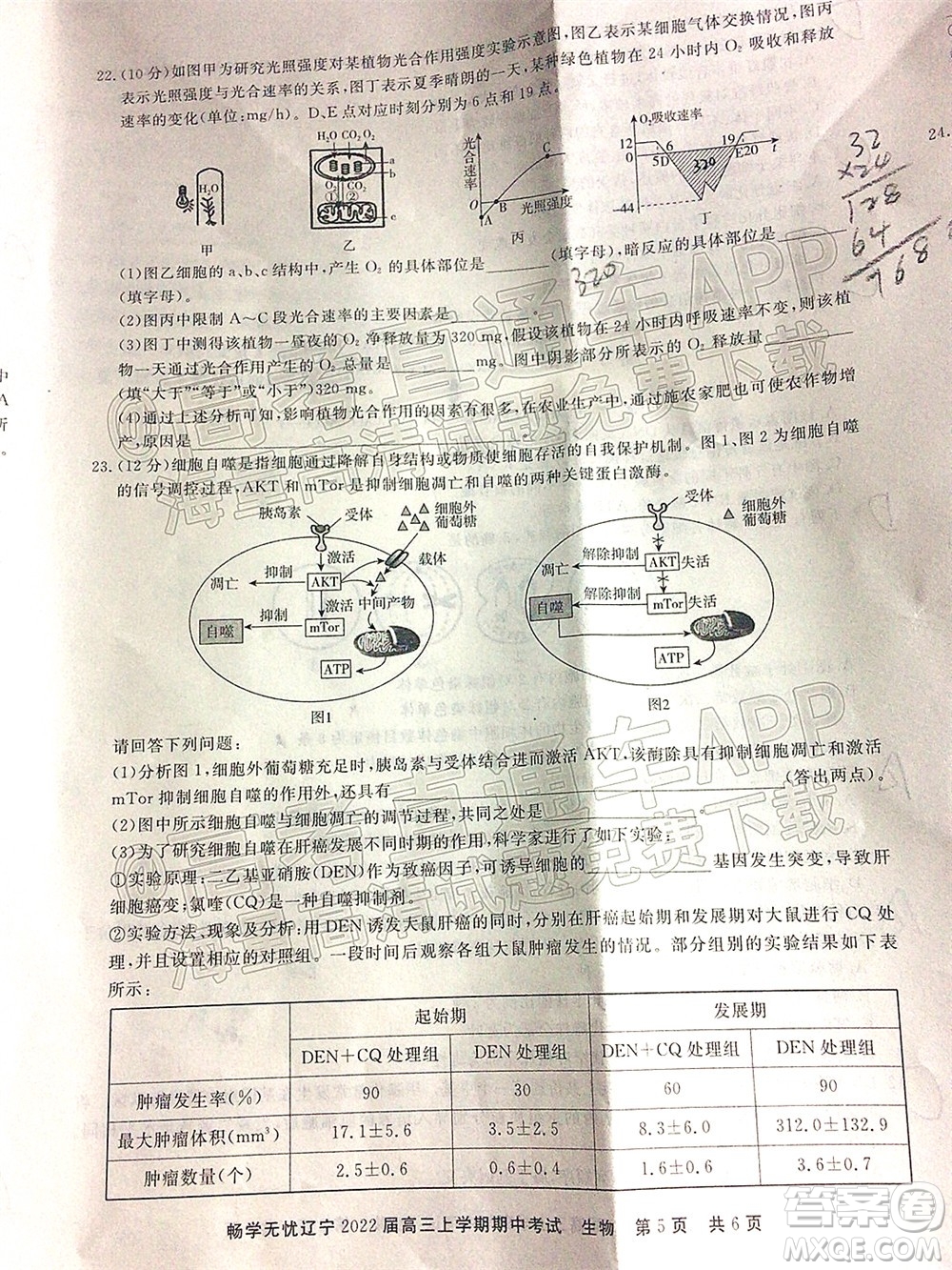 暢學無憂遼寧2022屆高三上學期期中考試生物試題及答案