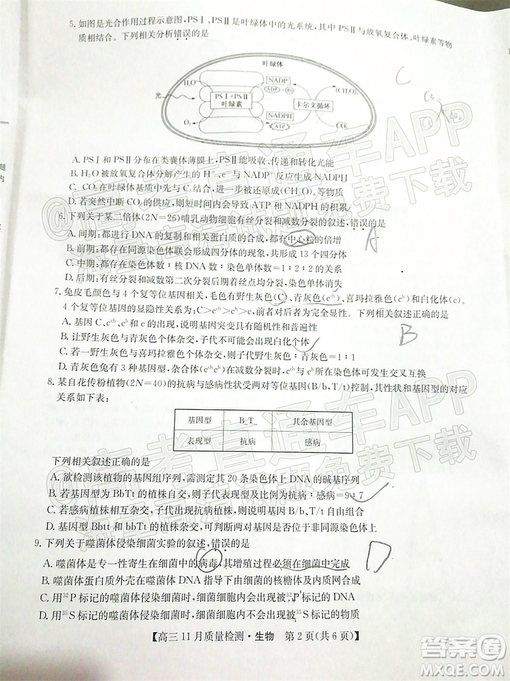 2022屆九師聯(lián)盟高三11月質(zhì)量檢測(cè)生物試題及答案