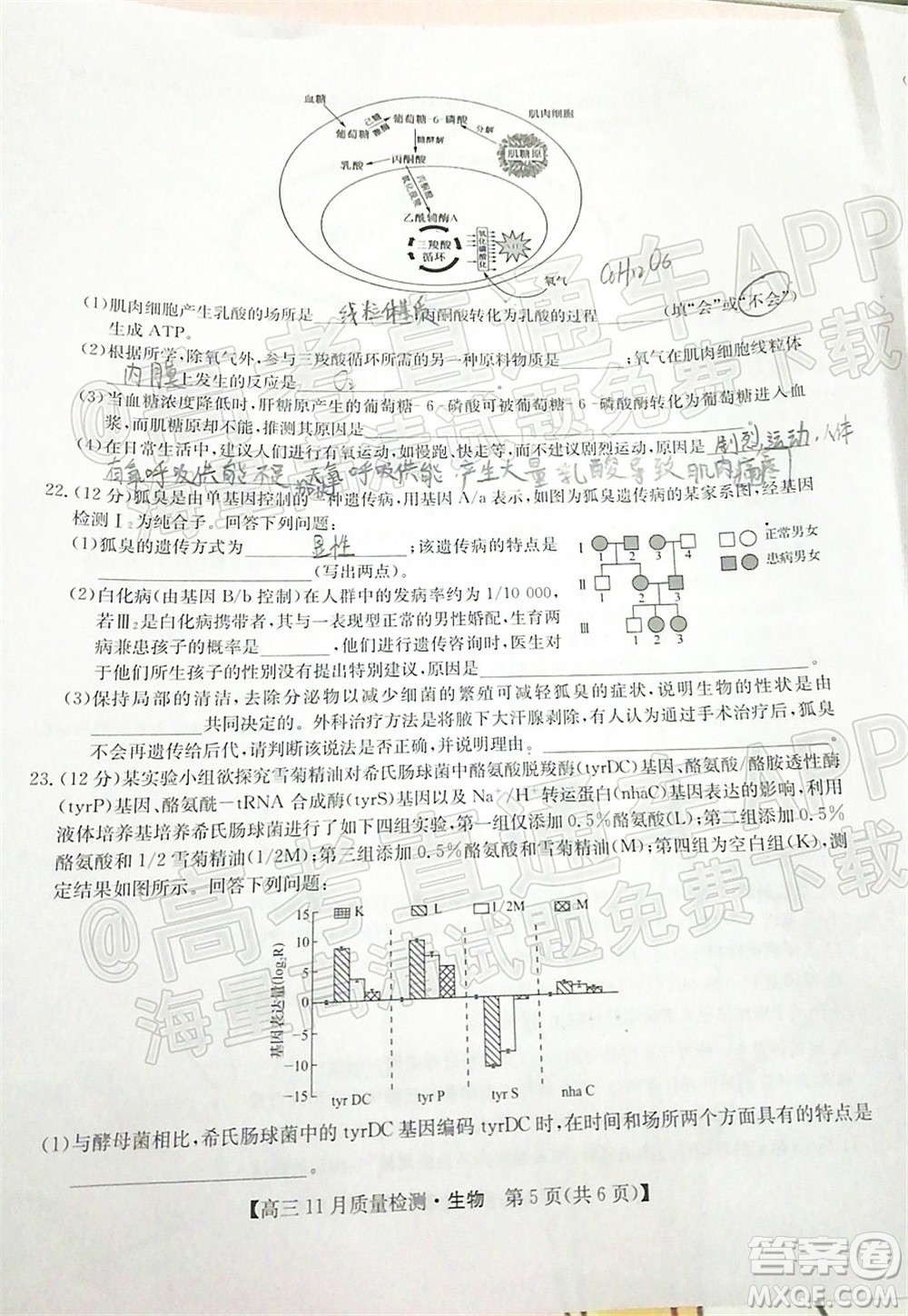 2022屆九師聯(lián)盟高三11月質(zhì)量檢測(cè)生物試題及答案