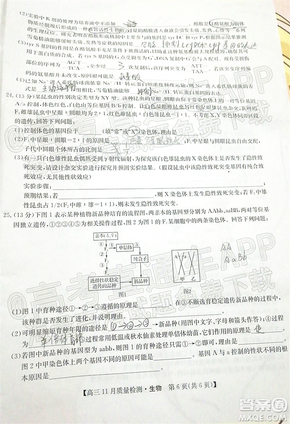 2022屆九師聯(lián)盟高三11月質(zhì)量檢測(cè)生物試題及答案