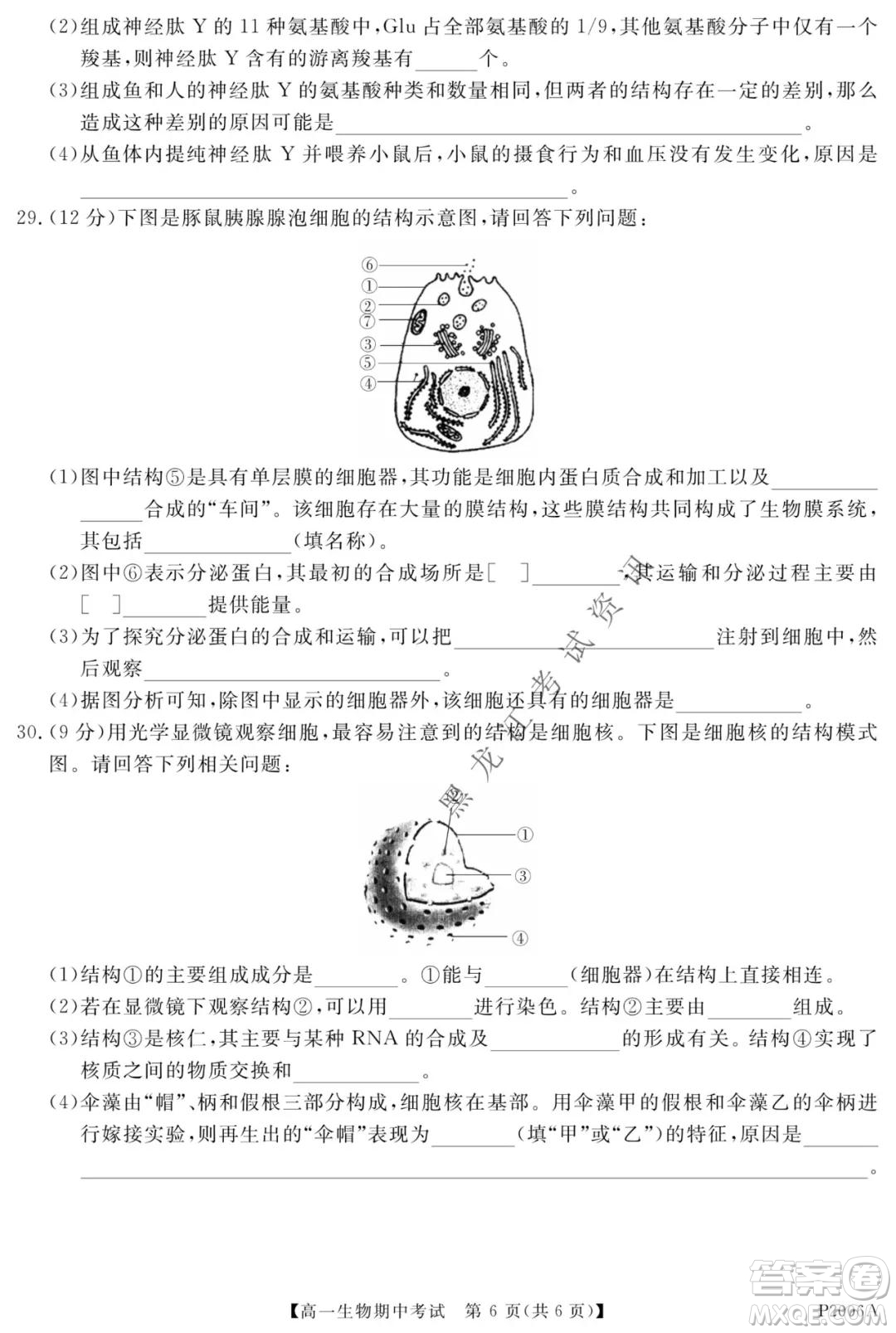 齊齊哈爾五校聯(lián)誼2021-2022學(xué)年高一上學(xué)期期中考試生物試題及答案