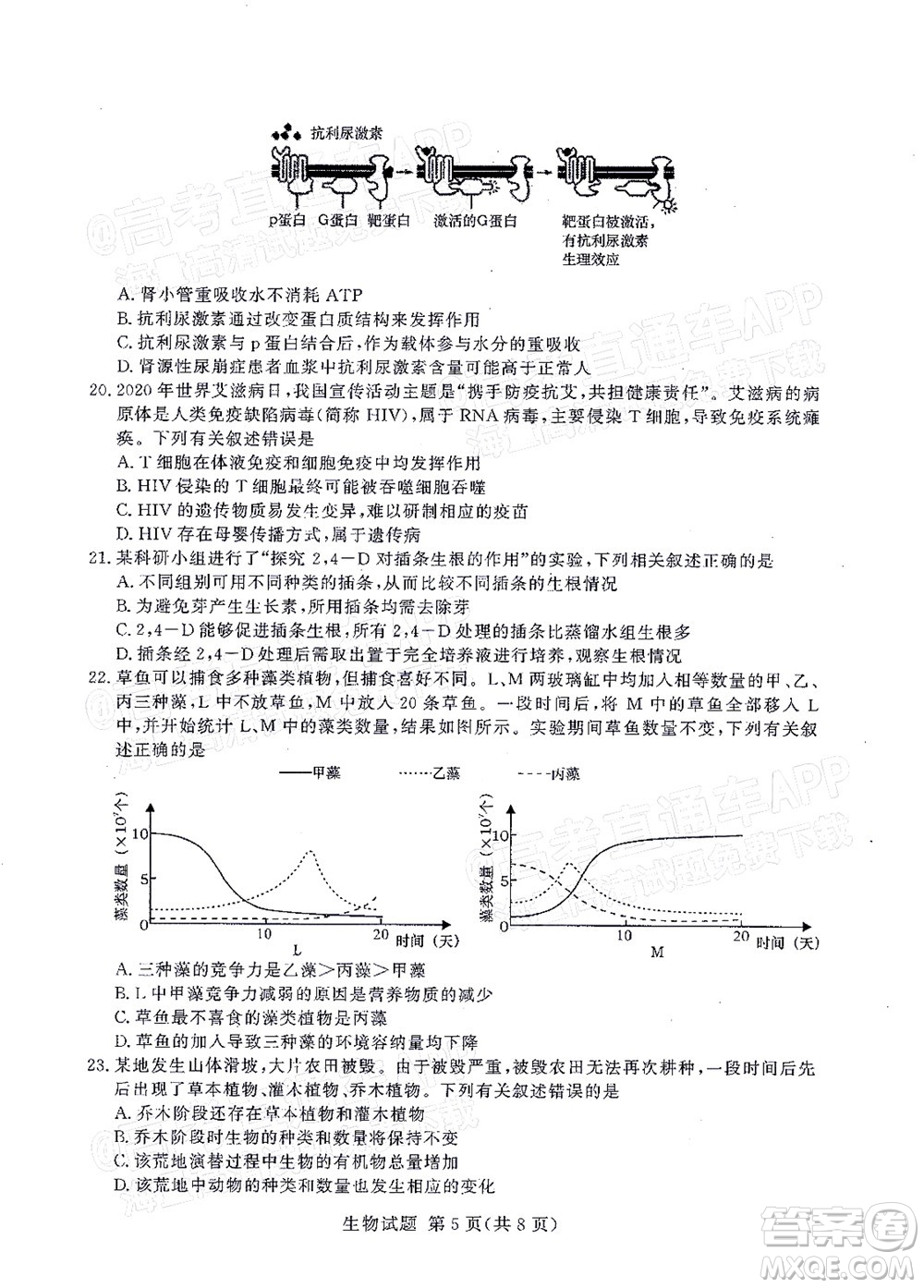 2021年11月湘豫名校聯(lián)考高三生物試題及答案