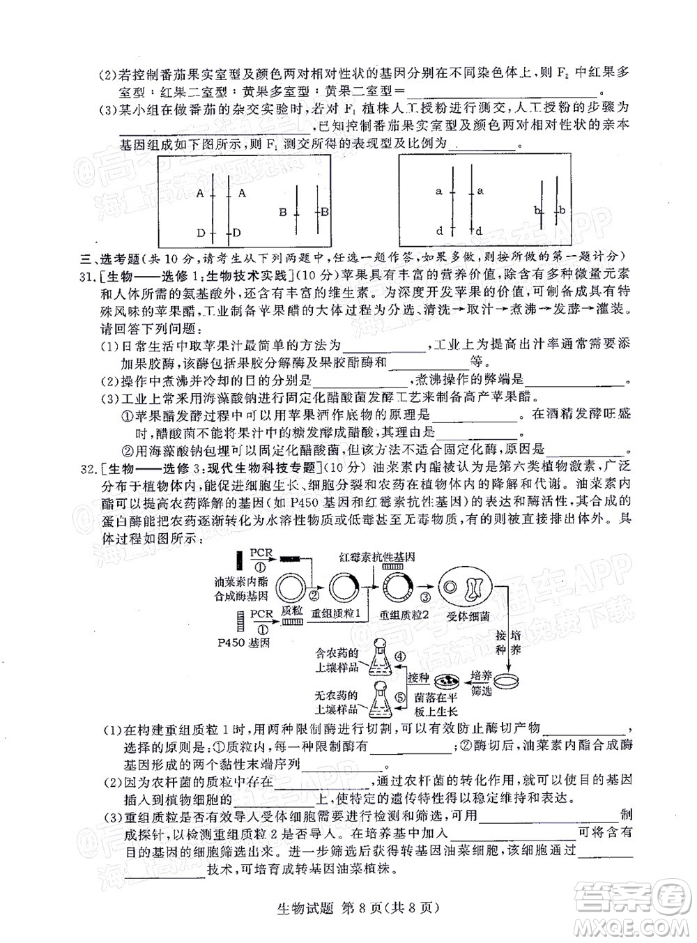 2021年11月湘豫名校聯(lián)考高三生物試題及答案