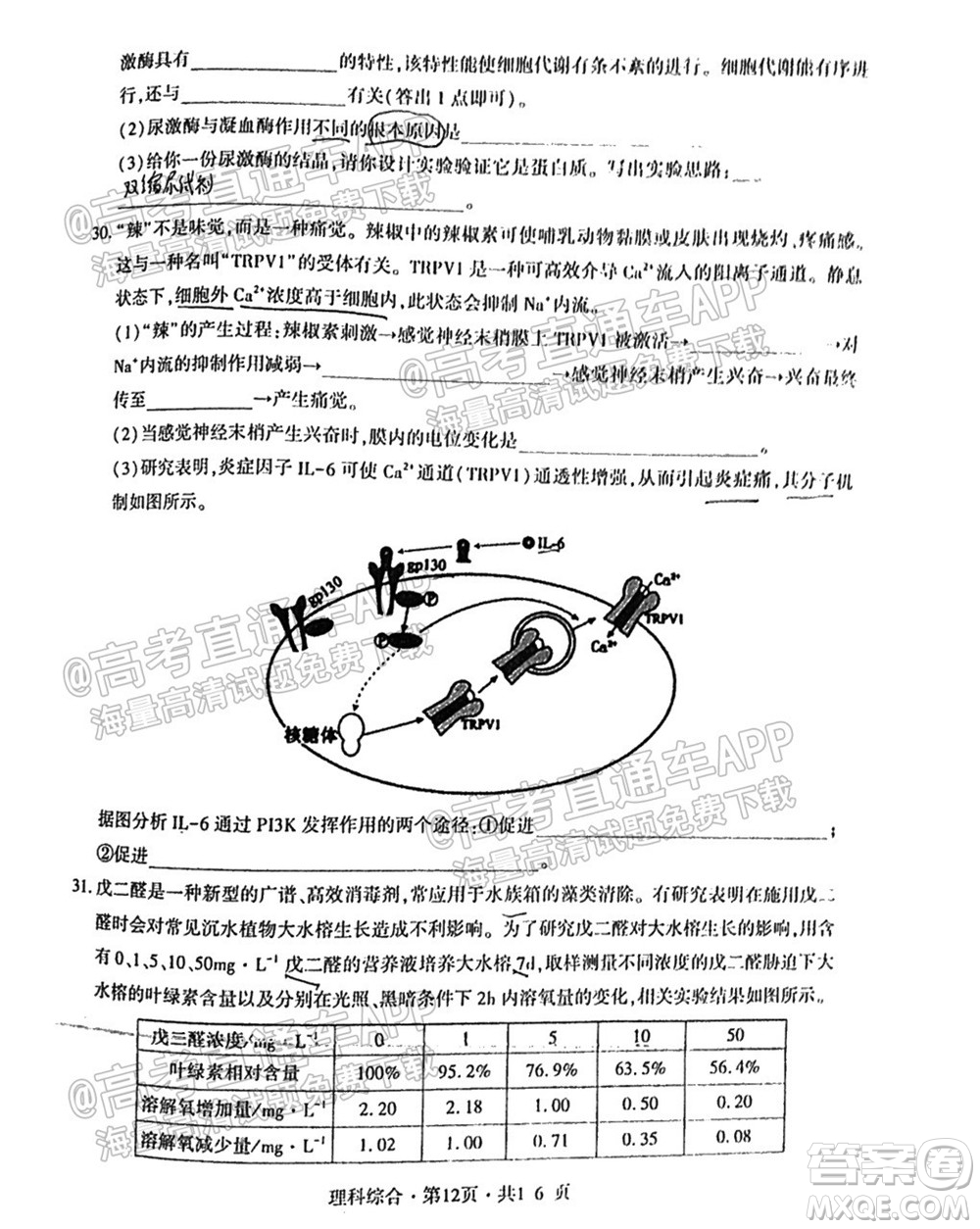 四省八校2022屆高三第一學期期中質量檢測考試理科綜合試題及答案