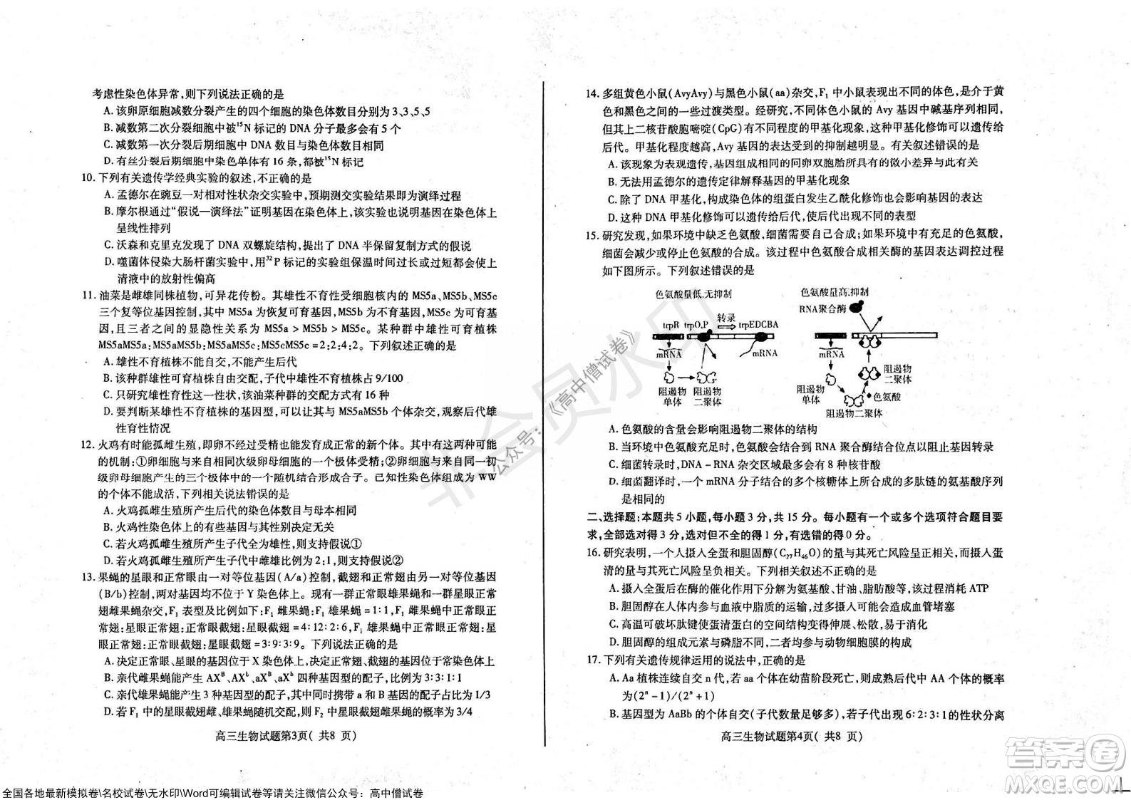 山東煙臺2021-2022學(xué)年度第一學(xué)期期中學(xué)業(yè)水平診斷高三生物試題及答案