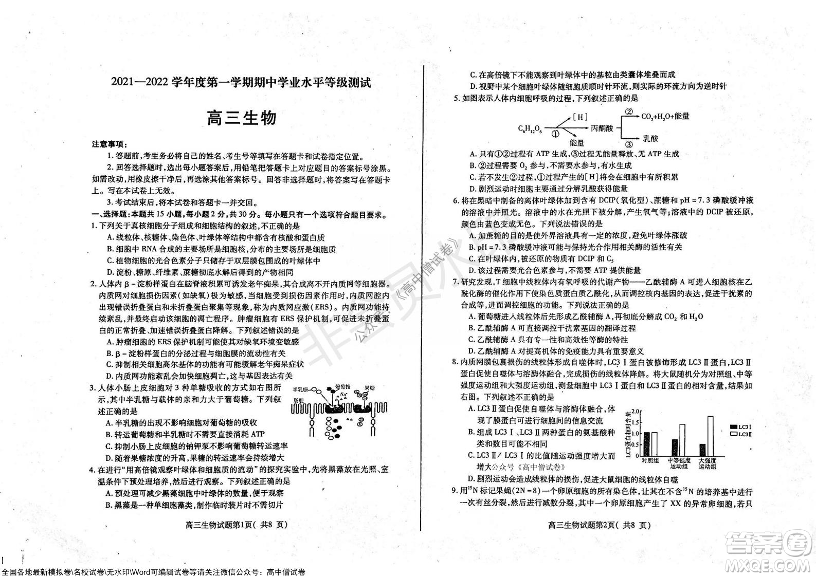 山東煙臺2021-2022學(xué)年度第一學(xué)期期中學(xué)業(yè)水平診斷高三生物試題及答案