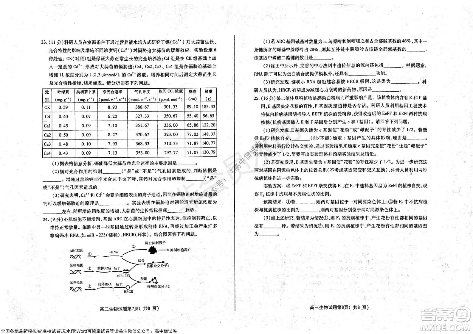 山東煙臺2021-2022學(xué)年度第一學(xué)期期中學(xué)業(yè)水平診斷高三生物試題及答案