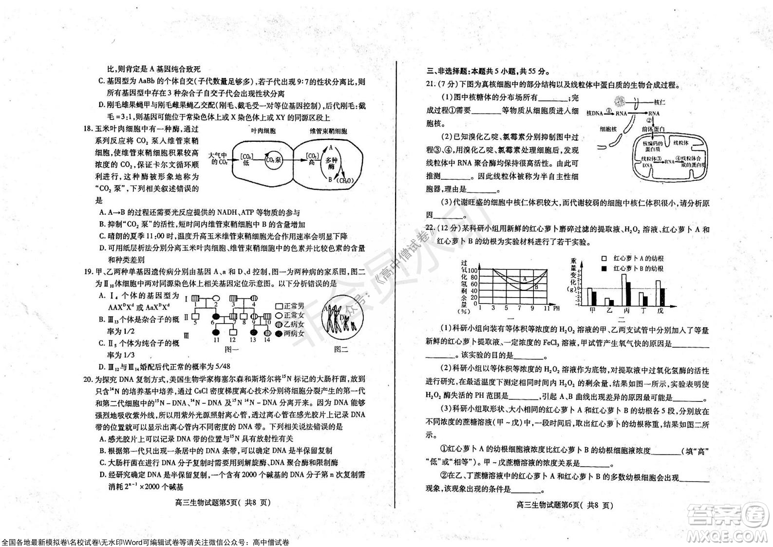 山東煙臺2021-2022學(xué)年度第一學(xué)期期中學(xué)業(yè)水平診斷高三生物試題及答案