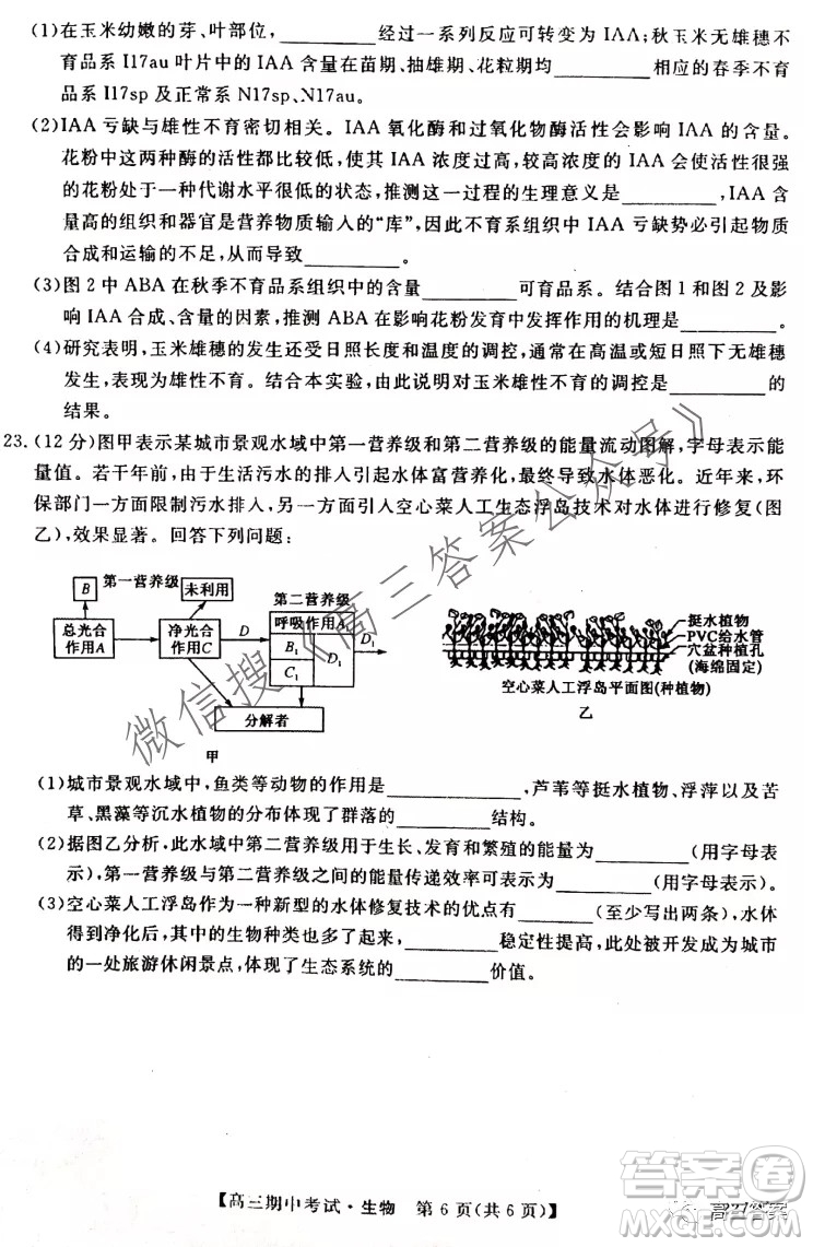 石家莊二中21-22學年高三年級期中考試生物試卷及答案