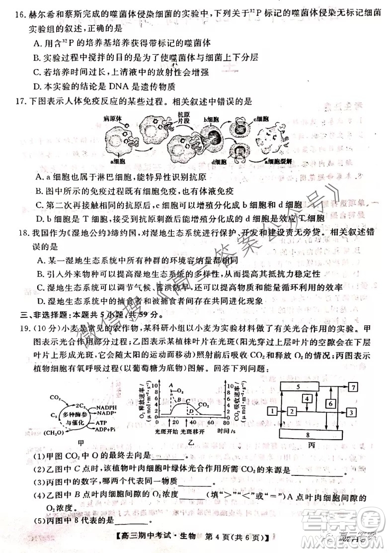 石家莊二中21-22學年高三年級期中考試生物試卷及答案