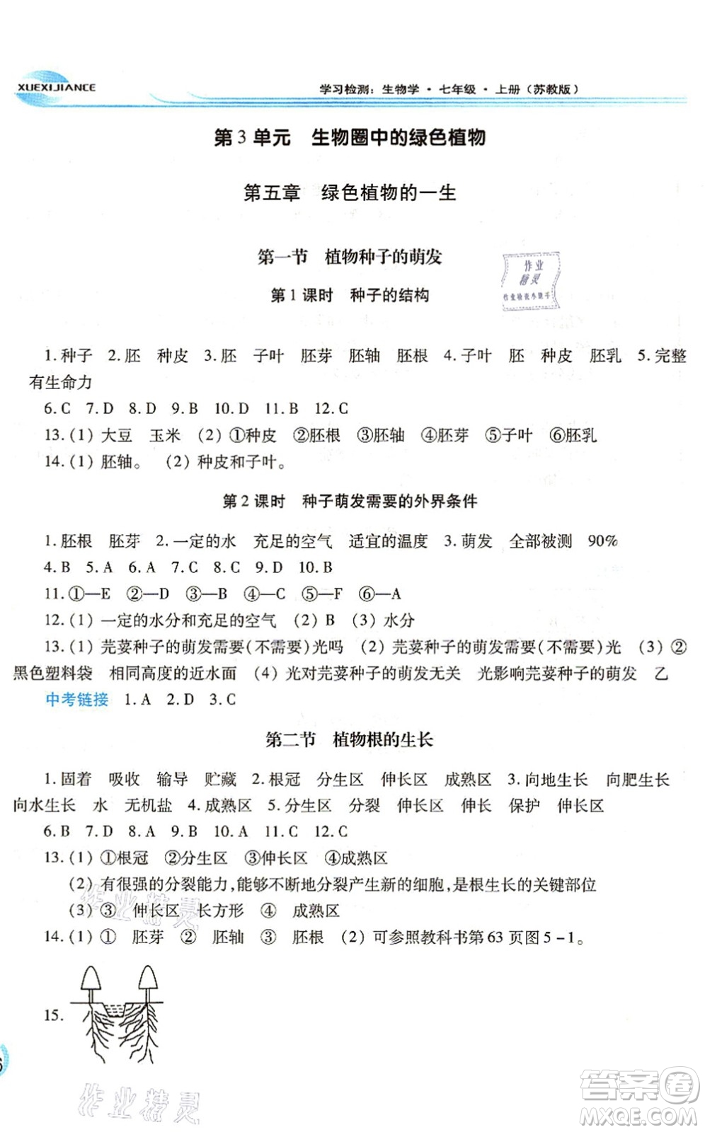 河南大學(xué)出版社2021學(xué)習(xí)檢測(cè)七年級(jí)生物上冊(cè)蘇教版答案