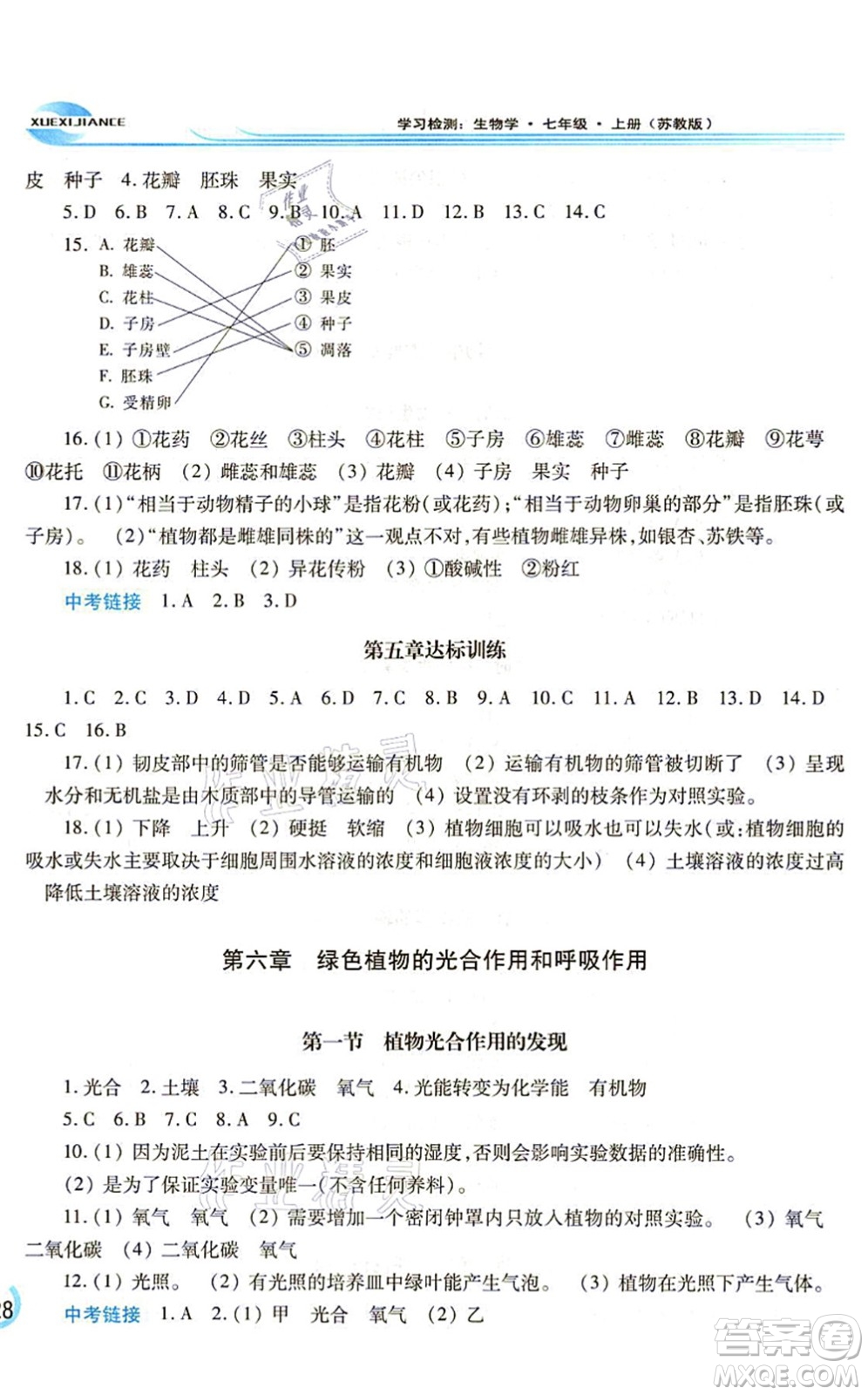 河南大學(xué)出版社2021學(xué)習(xí)檢測(cè)七年級(jí)生物上冊(cè)蘇教版答案