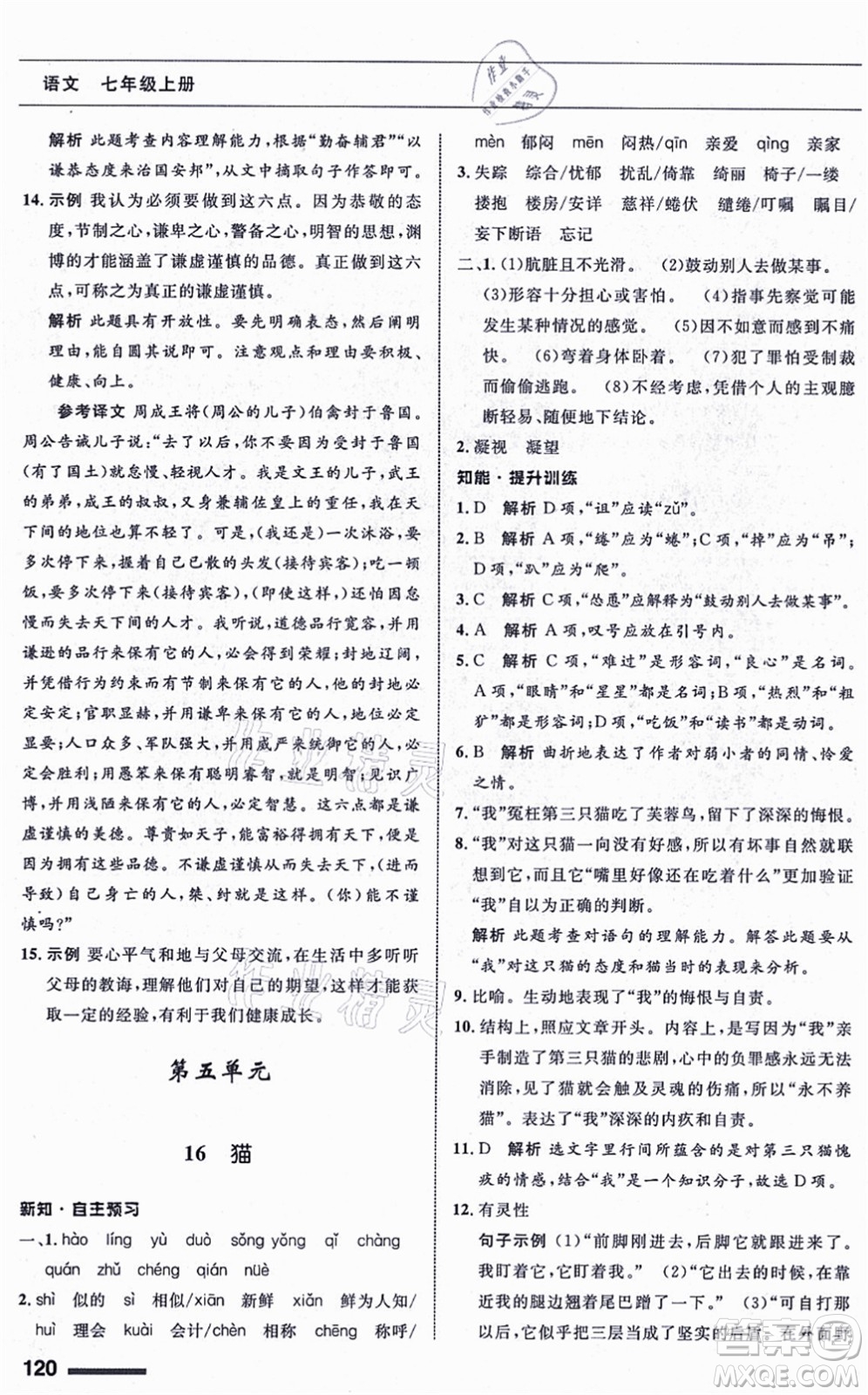 甘肅少年兒童出版社2021語文配套綜合練習(xí)七年級上冊人教版答案