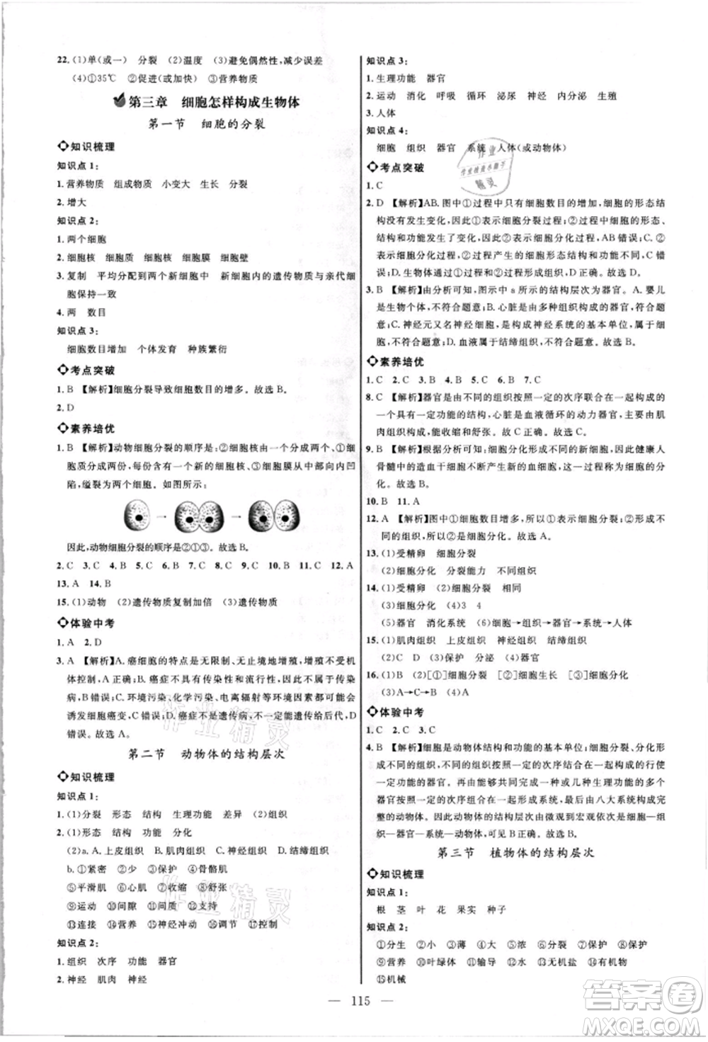 內(nèi)蒙古少年兒童出版社2021細(xì)解巧練六年級生物上冊魯教版參考答案