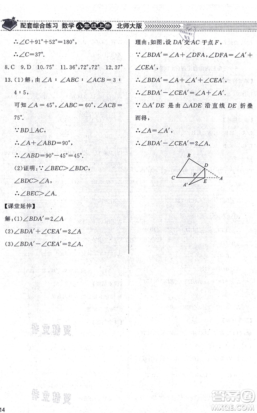 北京師范大學(xué)出版社2021數(shù)學(xué)配套綜合練習(xí)八年級(jí)上冊(cè)北師大版答案