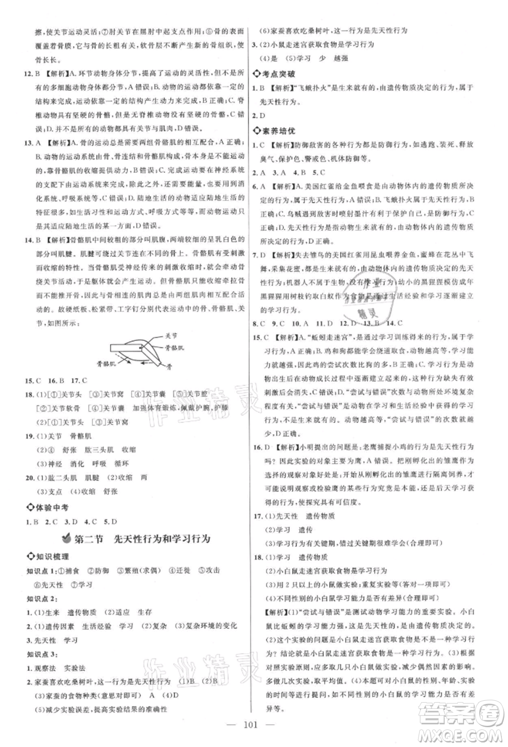 內(nèi)蒙古少年兒童出版社2021細(xì)解巧練八年級(jí)生物上冊(cè)魯教版參考答案