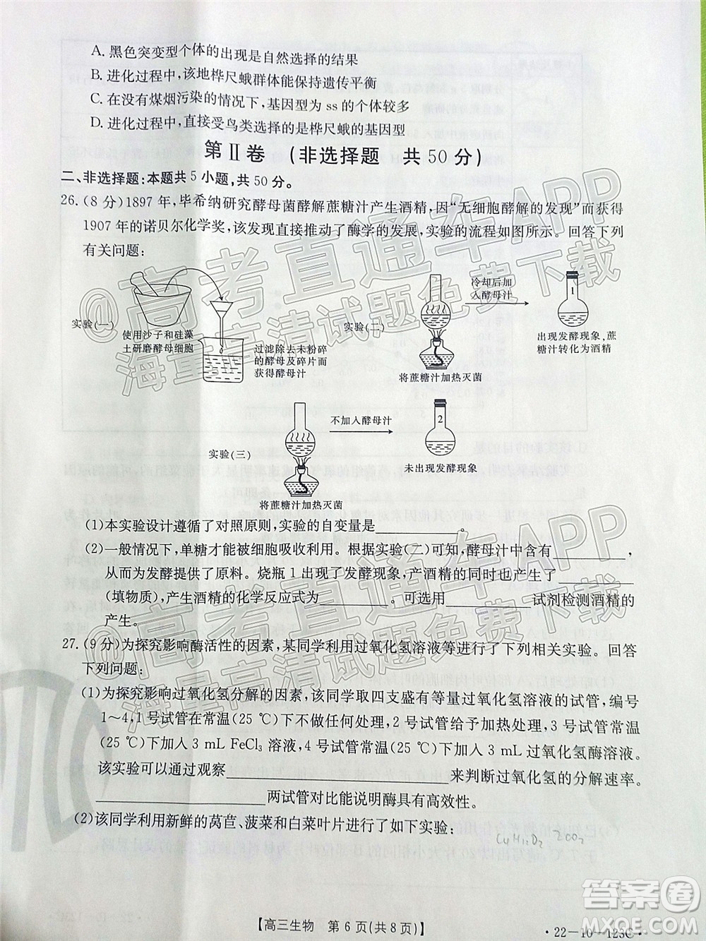 2022屆山西金太陽(yáng)高三11月聯(lián)考生物試題及答案