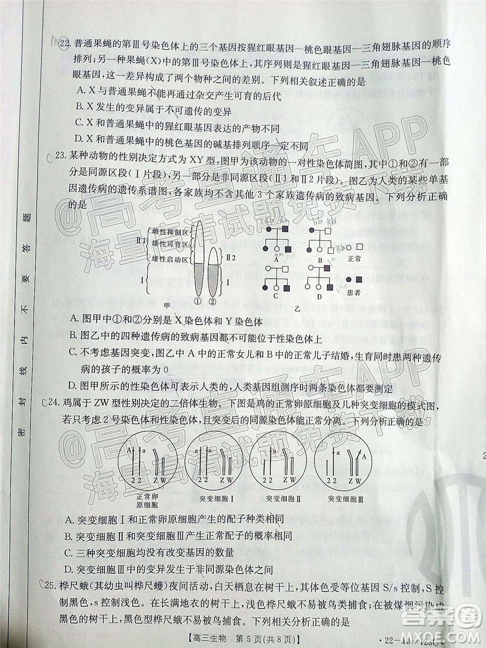 2022屆山西金太陽(yáng)高三11月聯(lián)考生物試題及答案