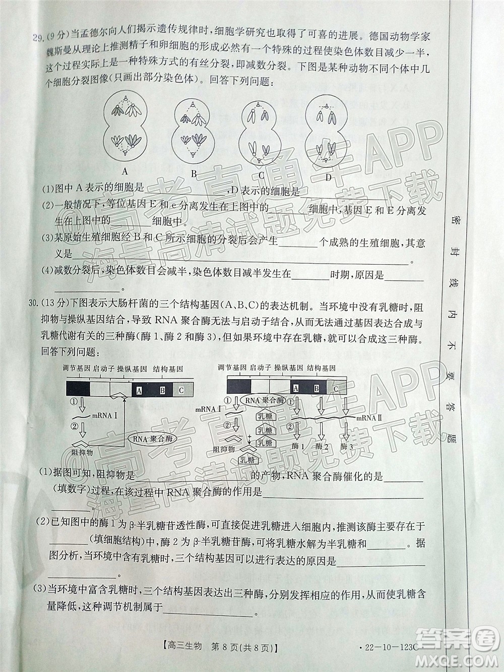 2022屆山西金太陽(yáng)高三11月聯(lián)考生物試題及答案