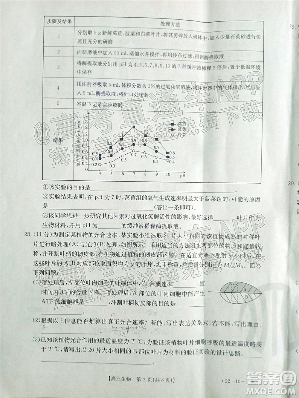 2022屆山西金太陽(yáng)高三11月聯(lián)考生物試題及答案