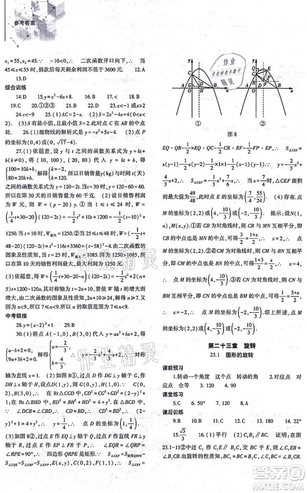 大象出版社2021初中同步練習(xí)冊(cè)九年級(jí)數(shù)學(xué)上冊(cè)人教版答案