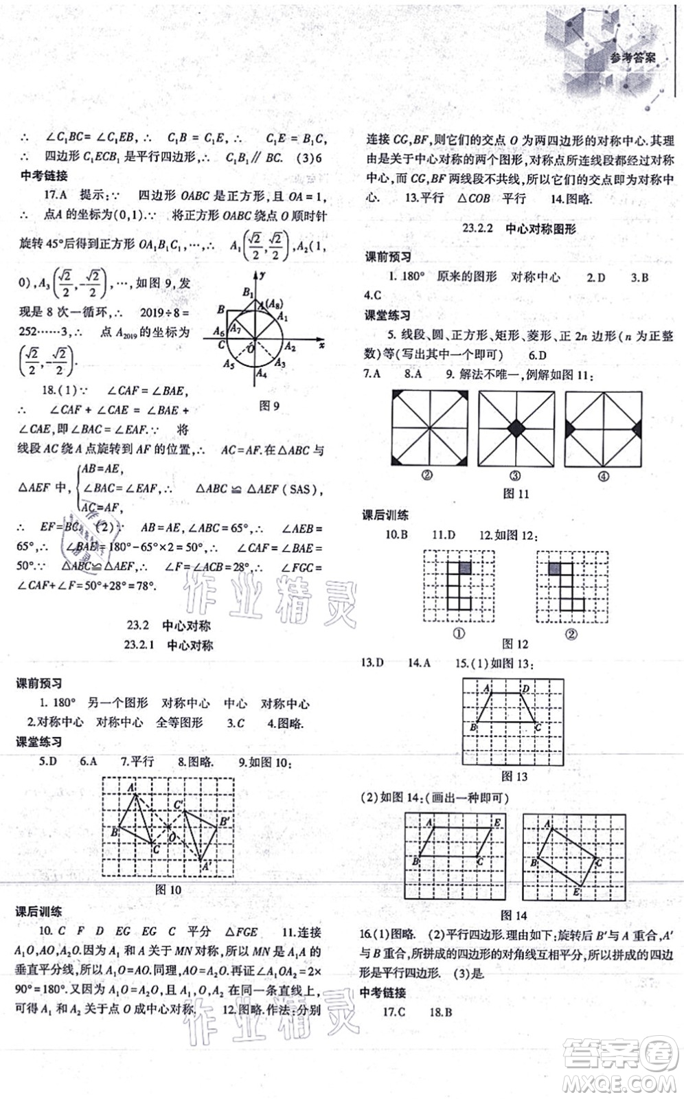 大象出版社2021初中同步練習(xí)冊(cè)九年級(jí)數(shù)學(xué)上冊(cè)人教版答案