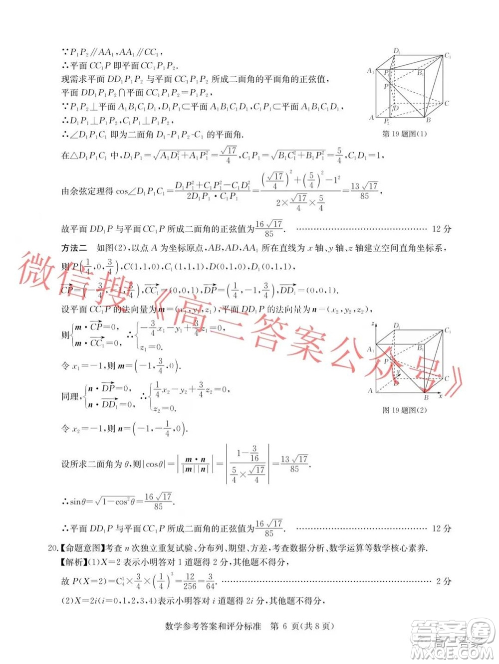 華大新高考聯(lián)盟2022屆高三11月教學質(zhì)量測評數(shù)學試題及答案