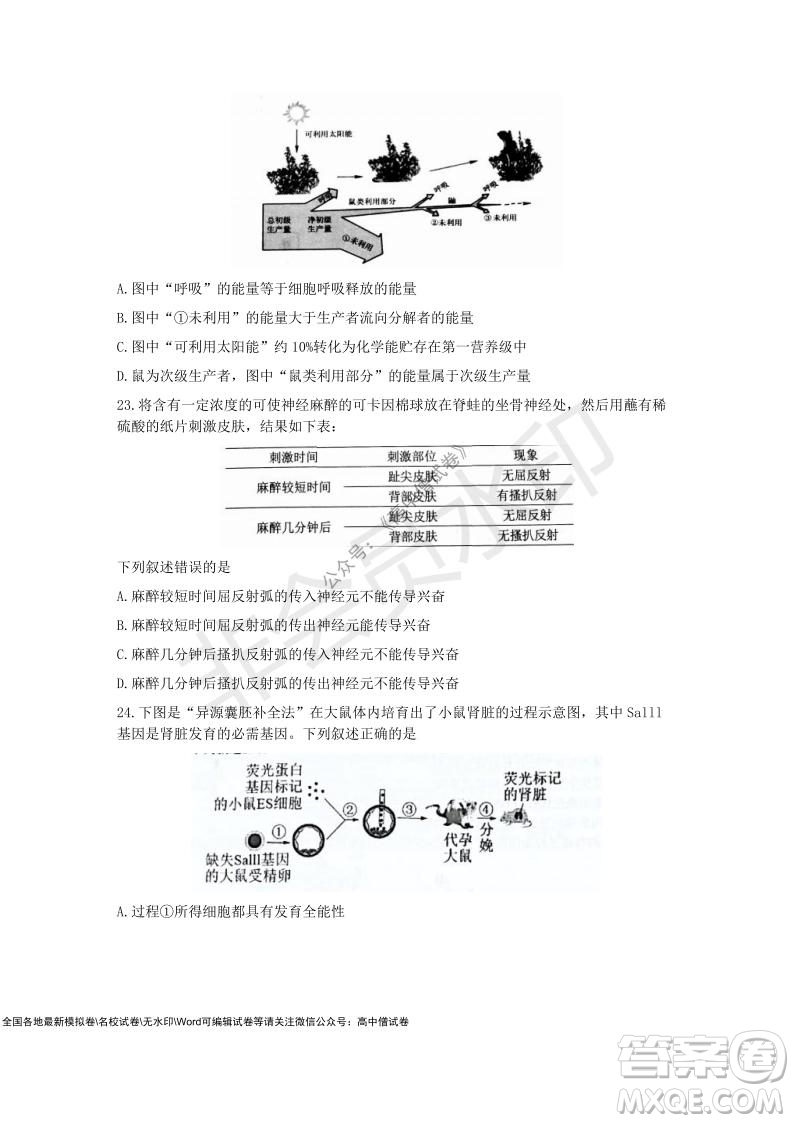 2021學(xué)年第一學(xué)期浙江省9+1高中聯(lián)盟期中考試高三年級生物試題及答案