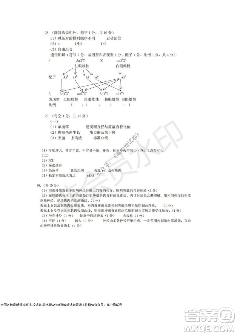 2021學(xué)年第一學(xué)期浙江省9+1高中聯(lián)盟期中考試高三年級生物試題及答案