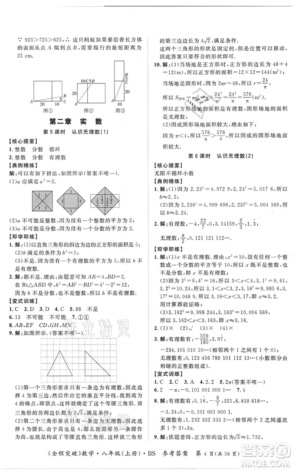 延邊大學(xué)出版社2021思而優(yōu)教育全程突破八年級(jí)數(shù)學(xué)上冊(cè)BS北師版答案