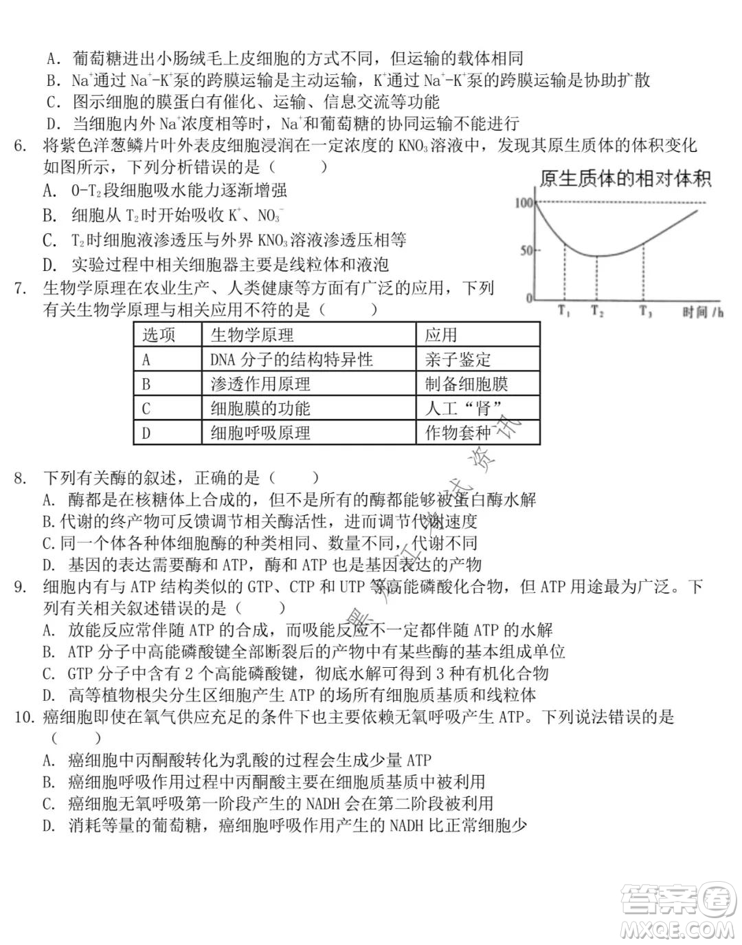 東北師大附中2021-2022高三上學(xué)期第二次摸底考試生物試題及答案