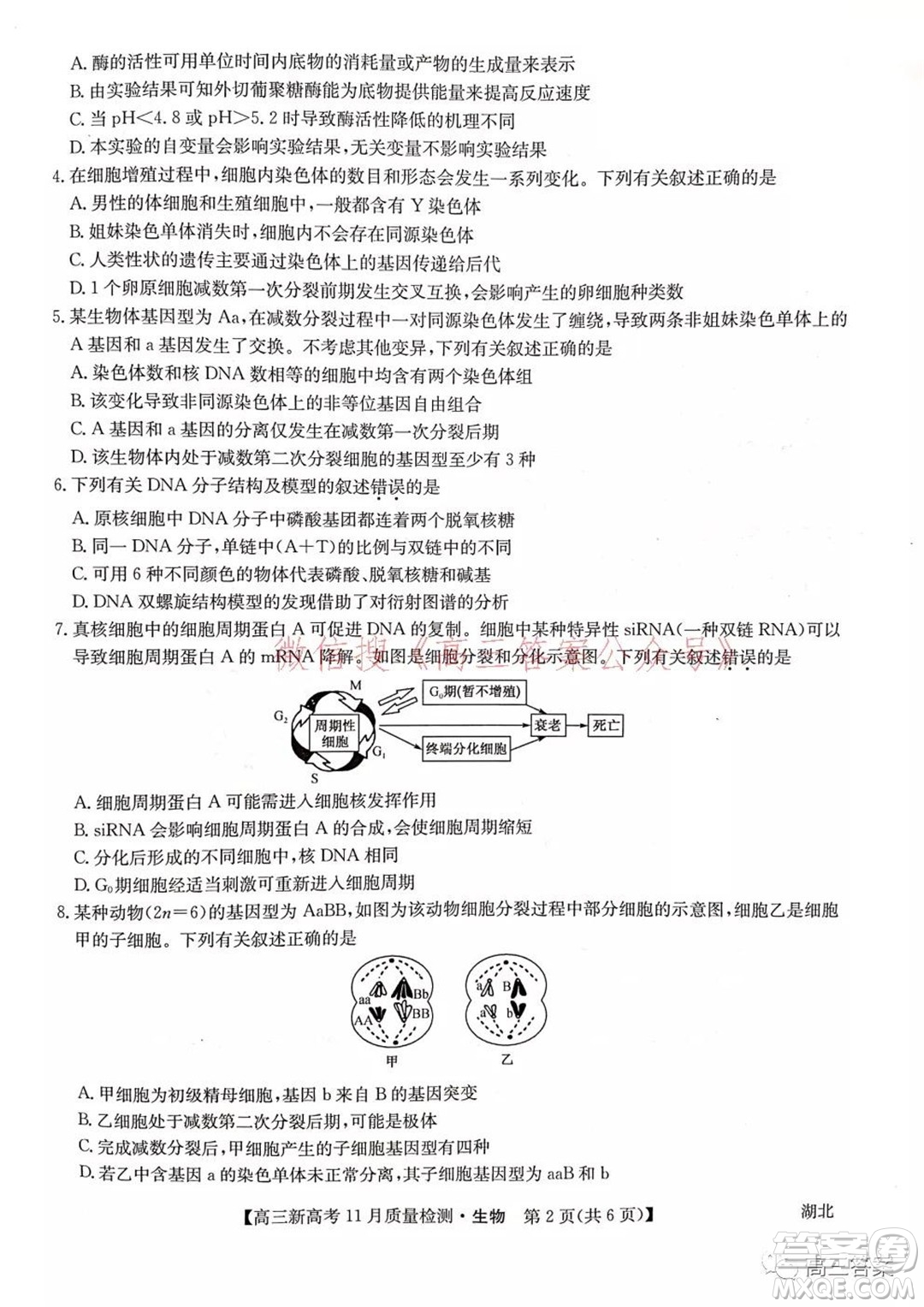 2022屆九師聯(lián)盟高三新高考11月質(zhì)量檢測(cè)生物試題及答案