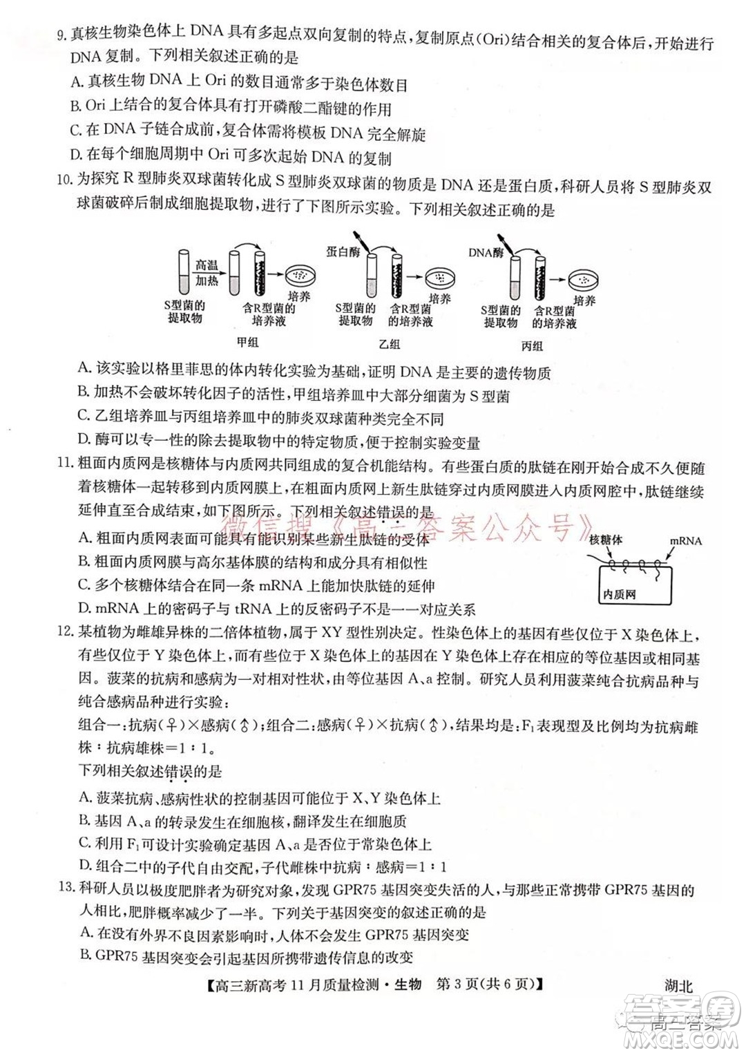 2022屆九師聯(lián)盟高三新高考11月質(zhì)量檢測(cè)生物試題及答案