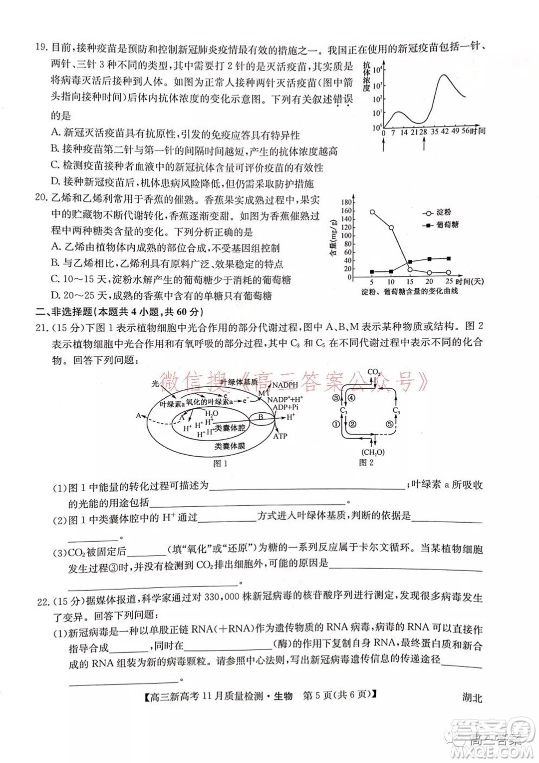 2022屆九師聯(lián)盟高三新高考11月質(zhì)量檢測(cè)生物試題及答案