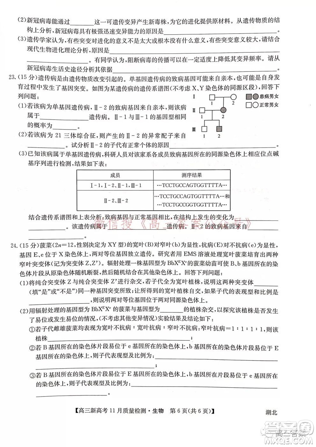 2022屆九師聯(lián)盟高三新高考11月質(zhì)量檢測(cè)生物試題及答案