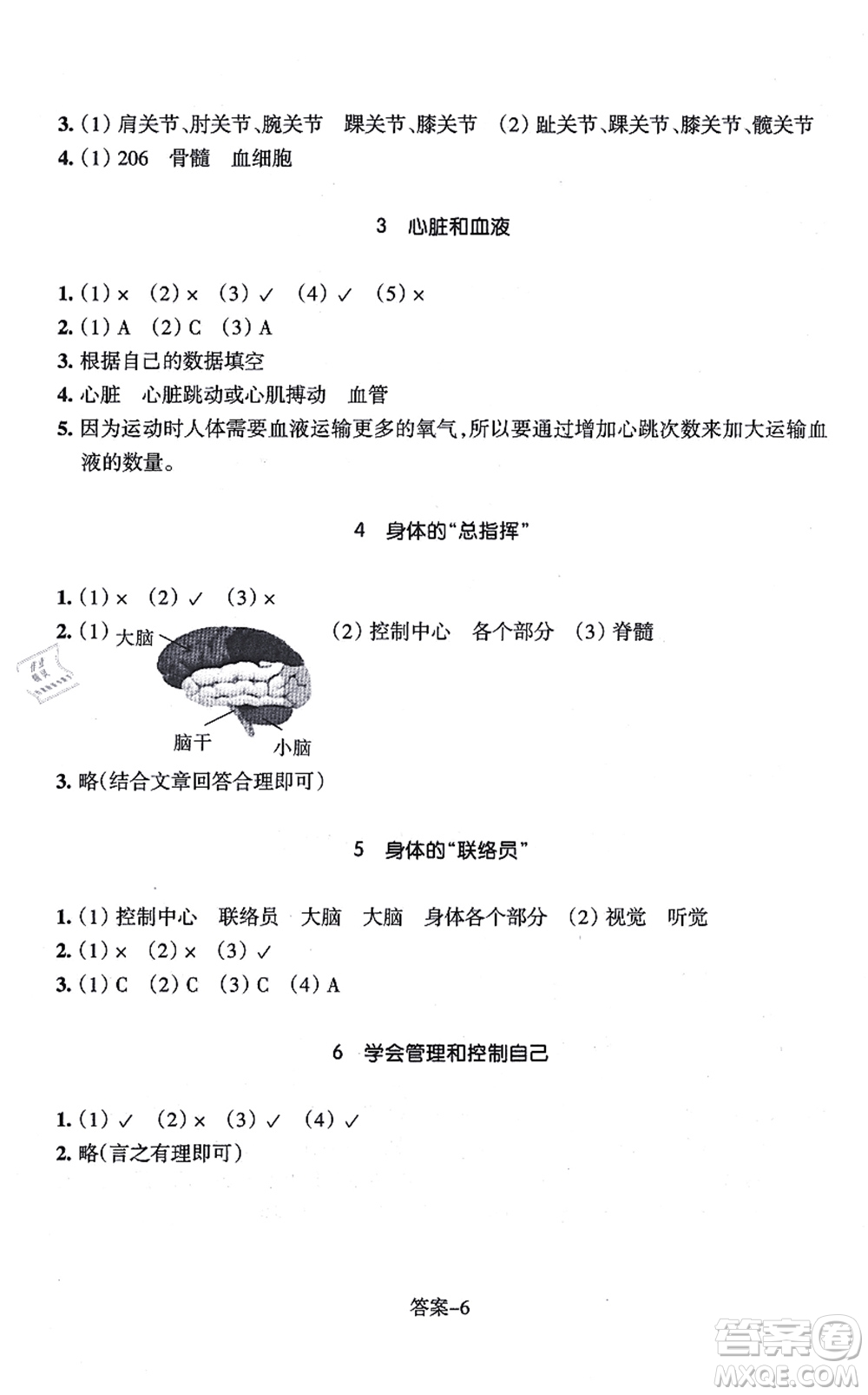 浙江少年兒童出版社2021每課一練五年級(jí)科學(xué)上冊(cè)J教科版答案