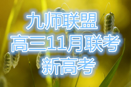 2022屆九師聯(lián)盟高三新高考11月質量檢測全科試題及答案