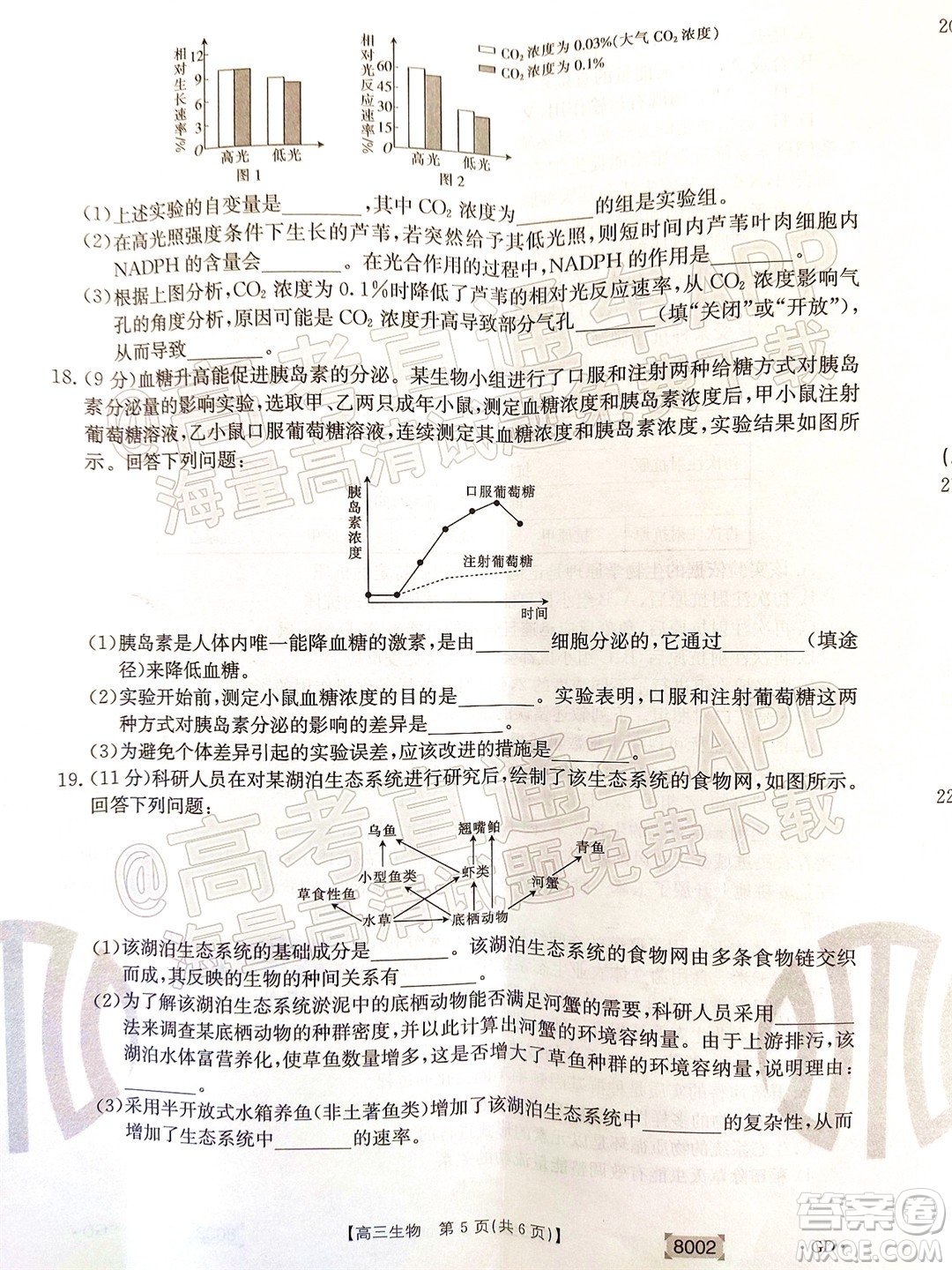 2022屆廣東金太陽高三11月聯(lián)考生物試題及答案