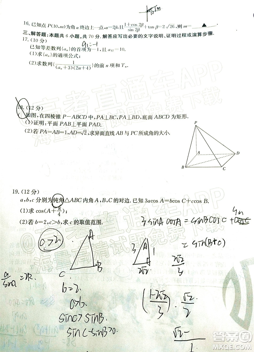 2022屆吉林金太陽(yáng)三十六校高三11月聯(lián)考文科數(shù)學(xué)試題及答案