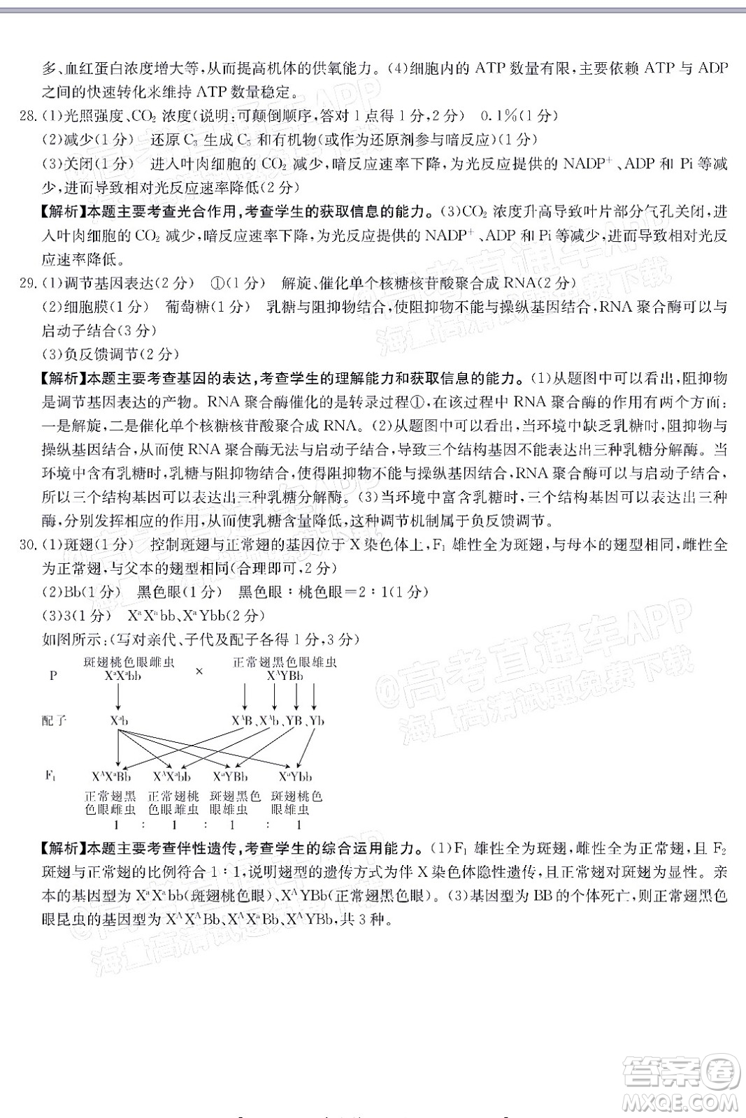 2022屆吉林金太陽三十六校高三11月聯(lián)考生物試題及答案