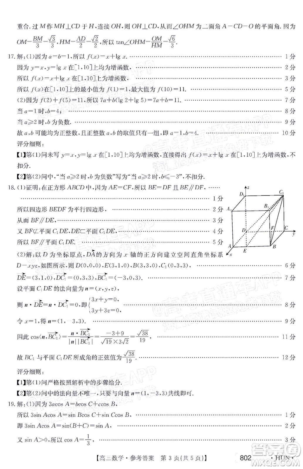 2022屆湖南金太陽高三11月聯(lián)考數(shù)學(xué)試題及答案