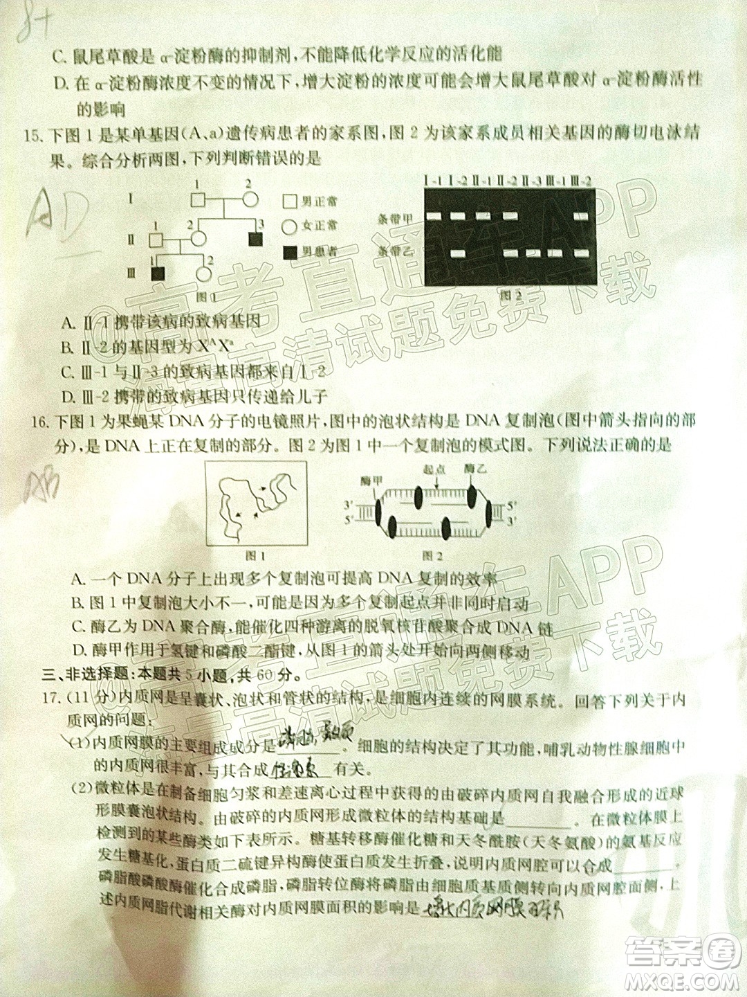 2022屆湖南金太陽(yáng)高三11月聯(lián)考生物試題及答案