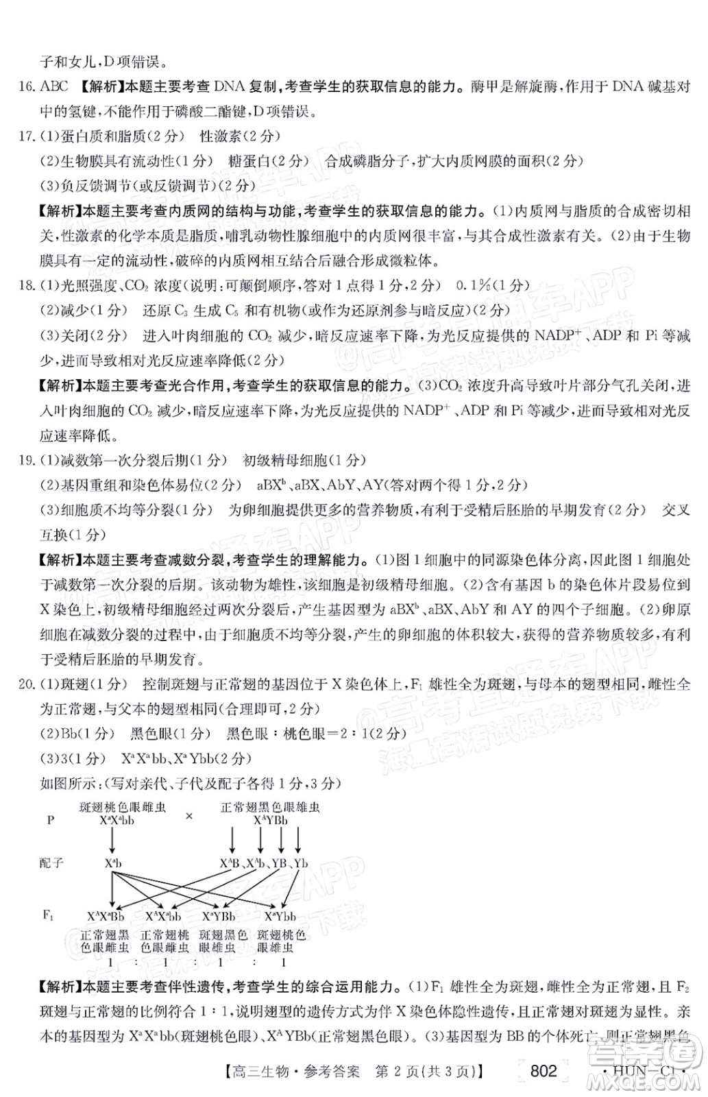 2022屆湖南金太陽(yáng)高三11月聯(lián)考生物試題及答案