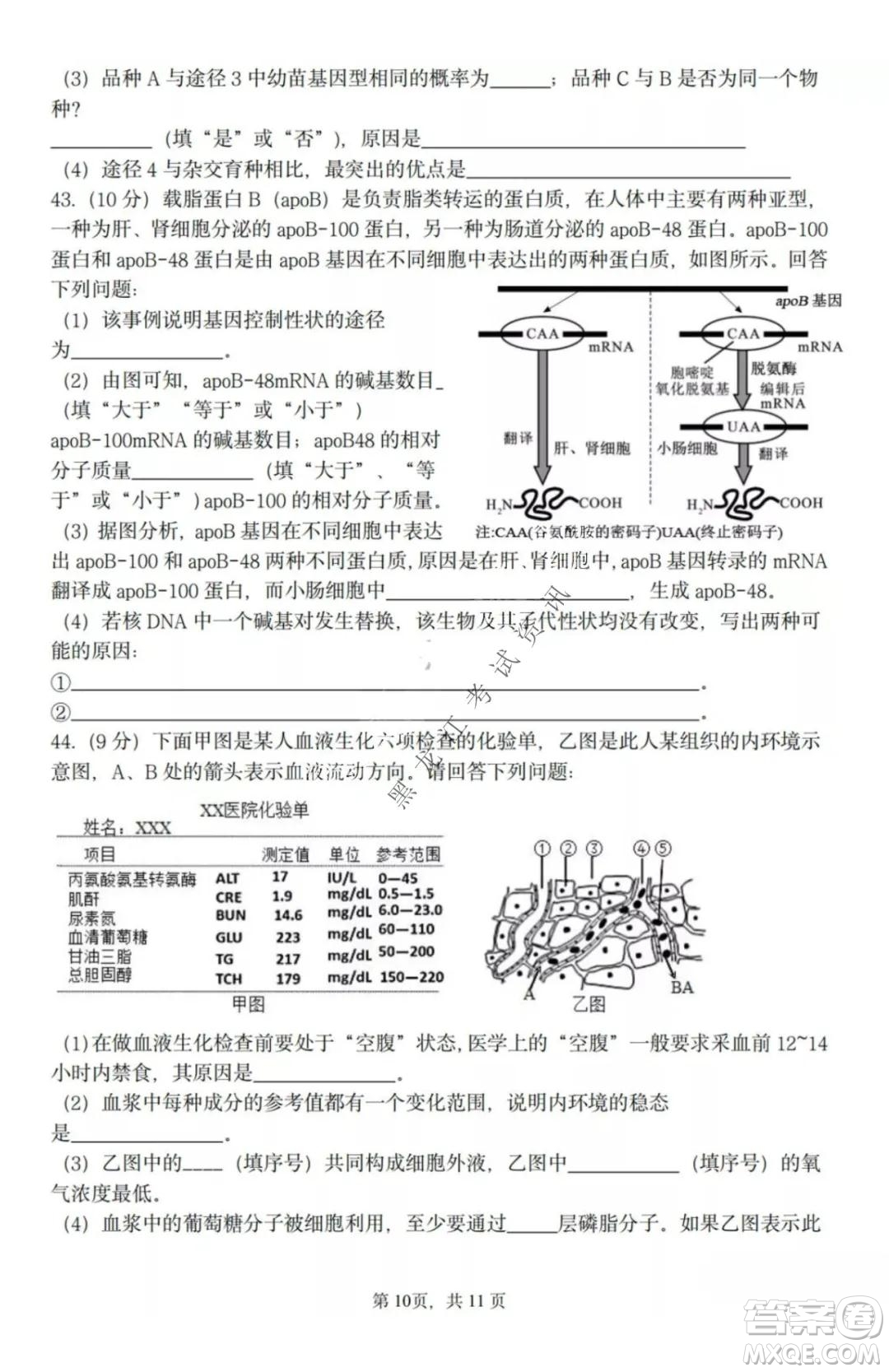 哈三中2021-2022高三上學期第三次驗收考試生物試卷及答案