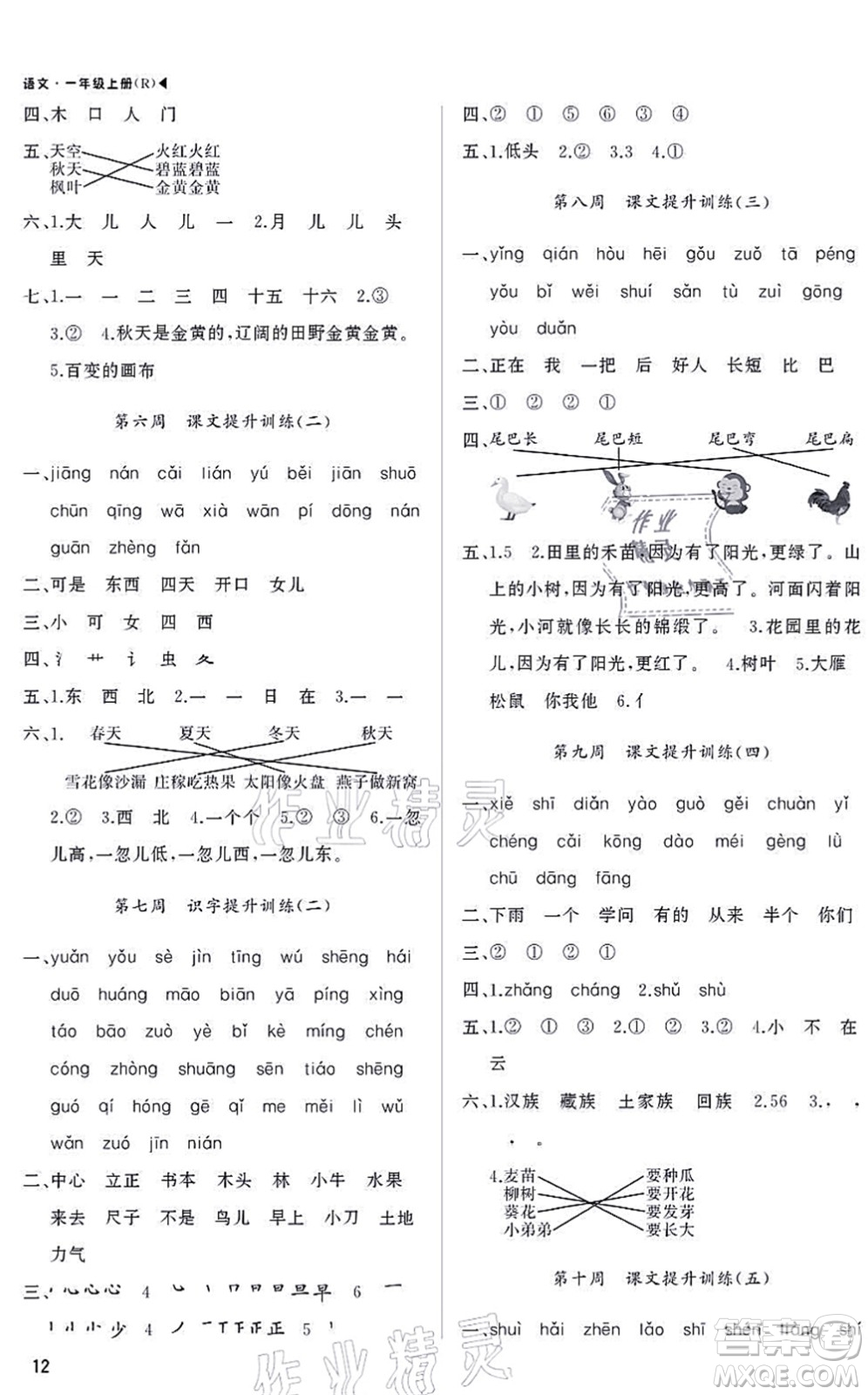 內(nèi)蒙古大學(xué)出版社2021超越訓(xùn)練一年級(jí)語(yǔ)文上冊(cè)R人教版綿陽(yáng)專(zhuān)版答案